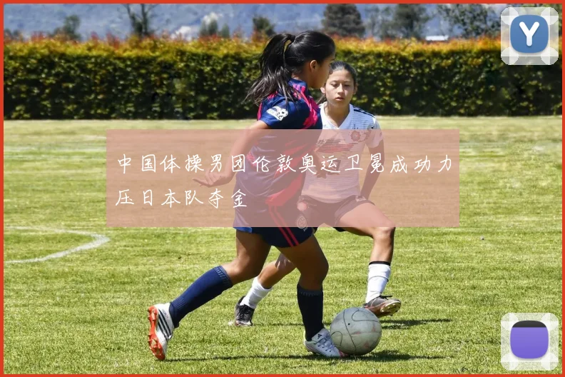中国体操男团伦敦奥运卫冕成功力压日本队夺金