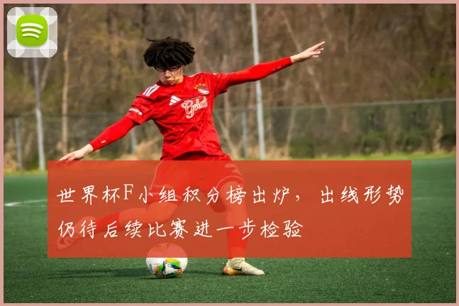 世界杯F小组积分榜出炉，出线形势仍待后续比赛进一步检验