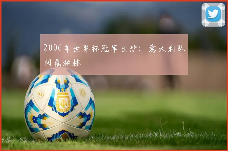 2006年世界杯冠军出炉:意大利队问鼎柏林