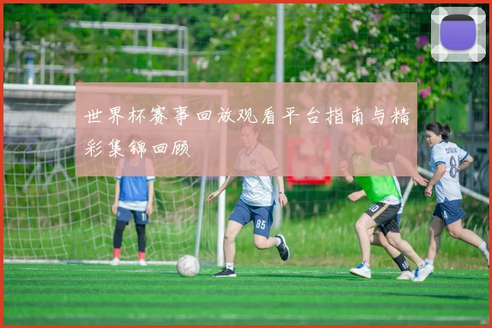 世界杯赛事回放观看平台指南与精彩集锦回顾
